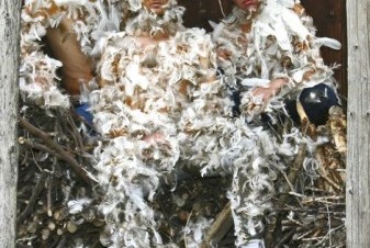 Bild der-wawawa-02.12.11-1-4f-web.jpg