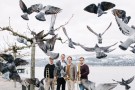 Bild 250502_vertigo-trombone-quartet-_3.jpg