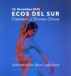 Bild ladina-tanzcompagnie-1-3j7g3huu-mb1n-n0xsmxh0.webp
